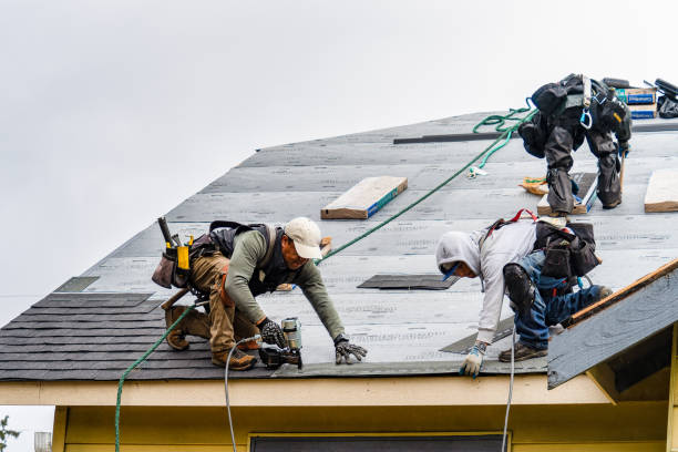 Professional Roofing technician working in Harrells, NC